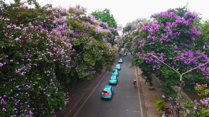 Xanh SM đồng hành cùng đoàn 300 cựu chiến binh thực hiện hành trình về nguồn - 9