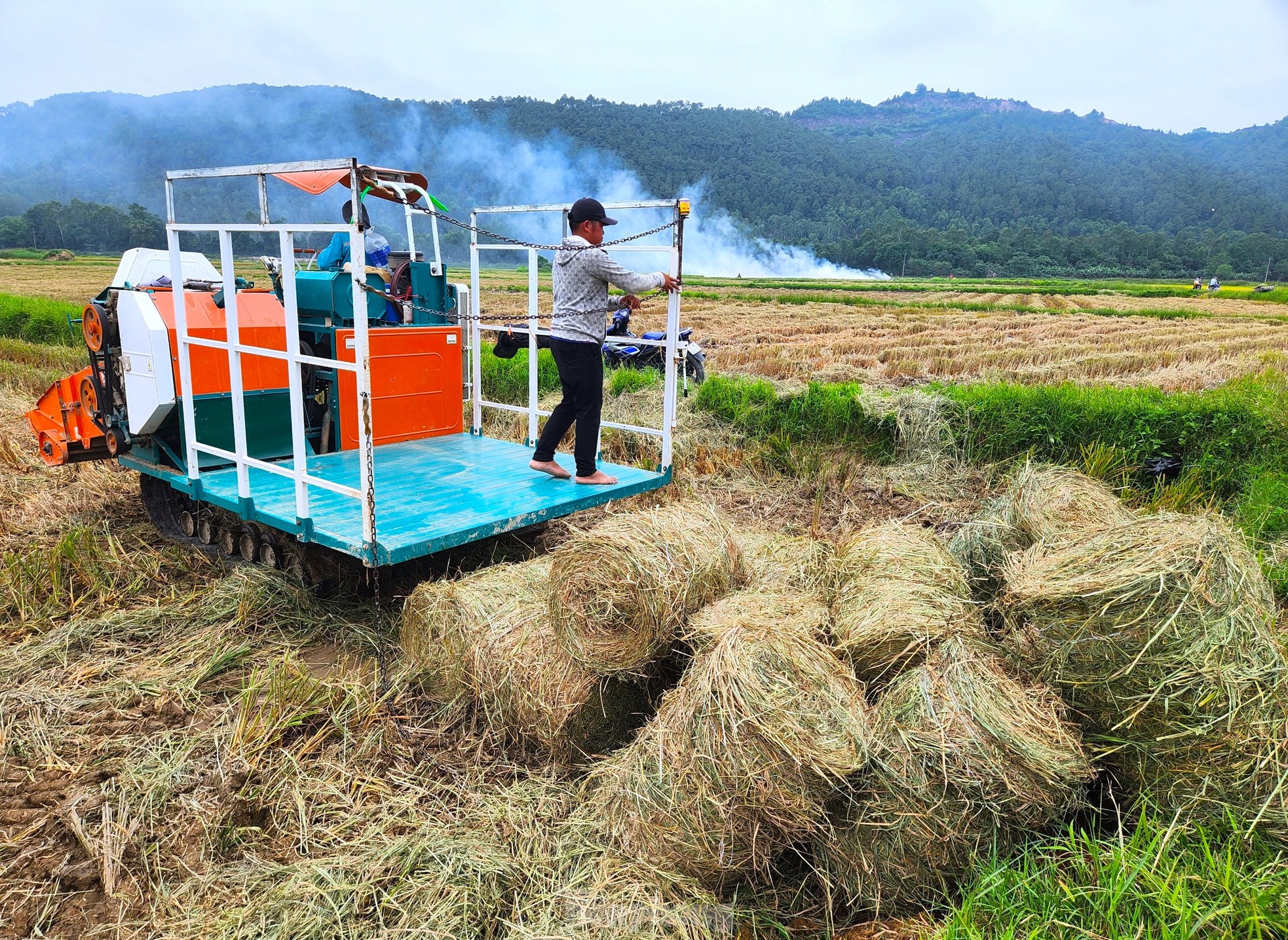 Kiếm hàng trăm triệu từ thu gom rơm trên đồng ảnh 13