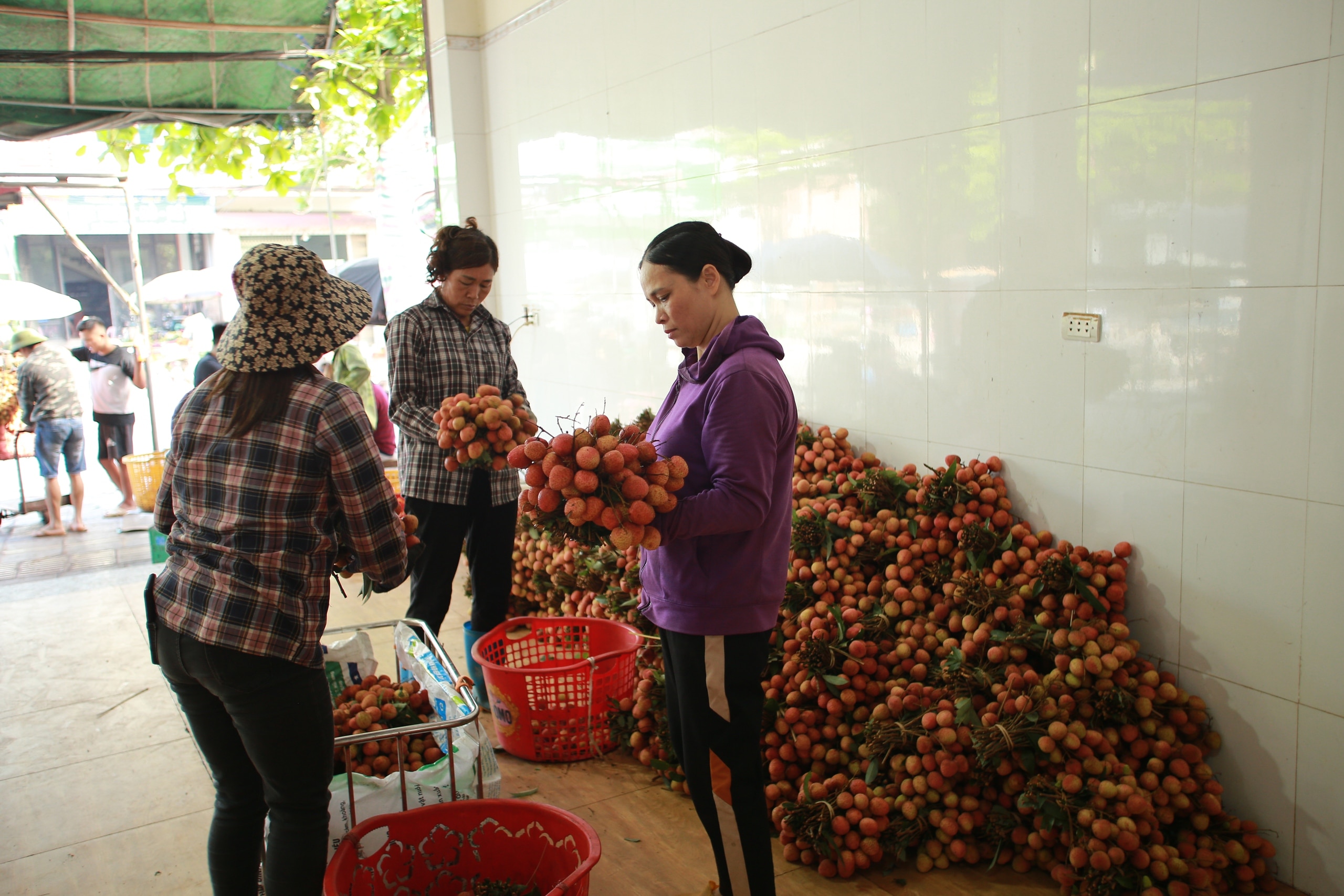 Người dân Bắc Giang vui mừng vì vải được thu mua với giá cao- Ảnh 18.