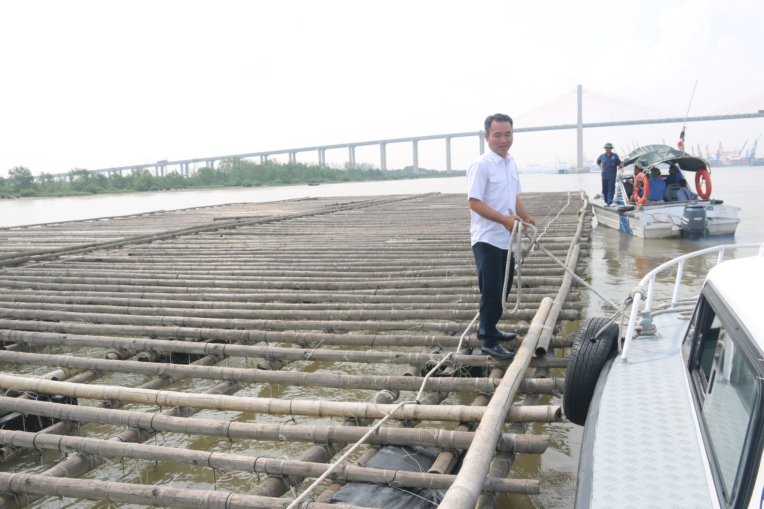 Đến 30.5 sẽ di chuyển hết lồng bè nuôi trồng trái phép trên sông Bạch Đằng- Ảnh 3.