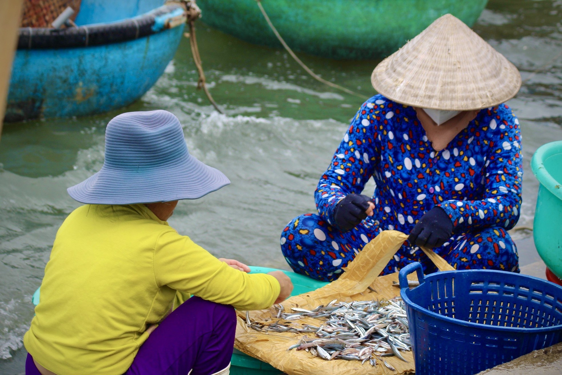 Được mùa cá cơm, phụ nữ vùng biển tất bật mưu sinh ảnh 6