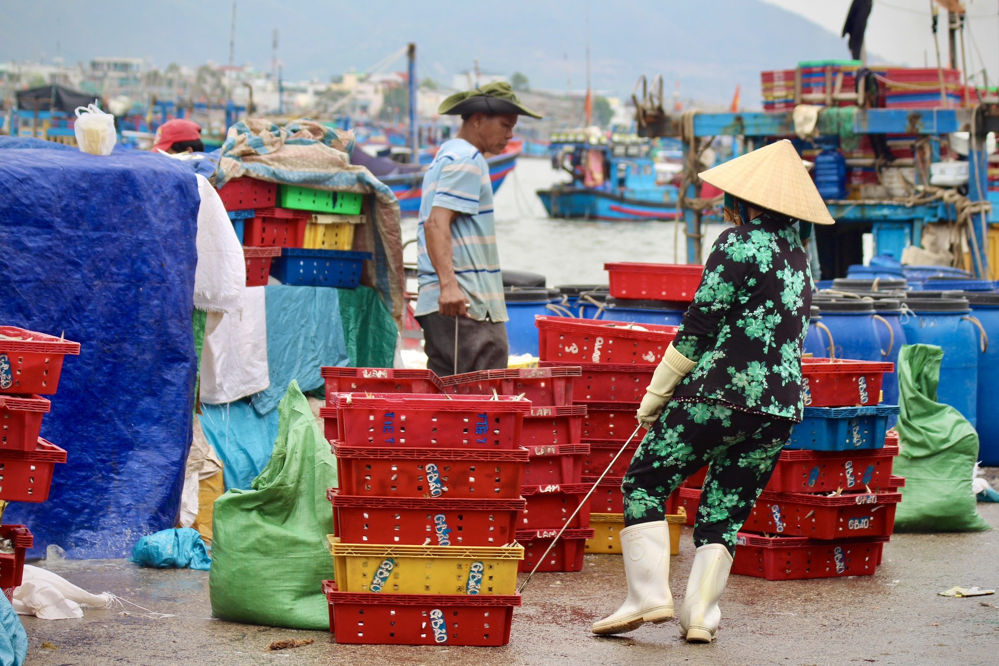 Được mùa cá cơm, phụ nữ vùng biển tất bật mưu sinh ảnh 7