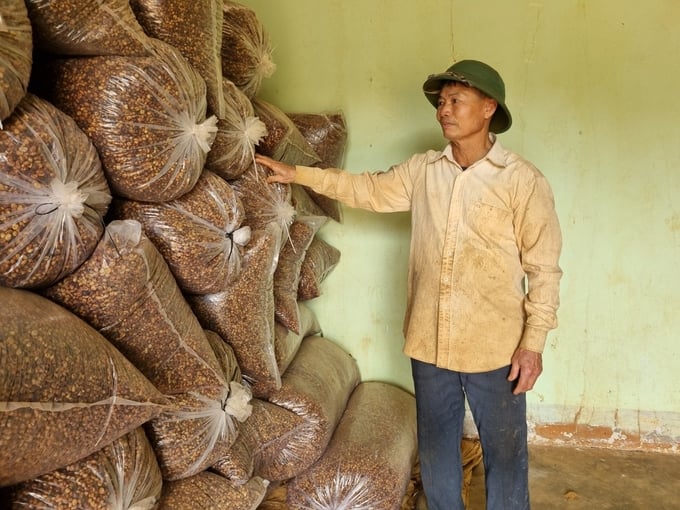 Cà phê nhân chất lượng cao được gia đình ông Cách bảo quản rất kỹ lưỡng. Ảnh: Tuấn Anh.