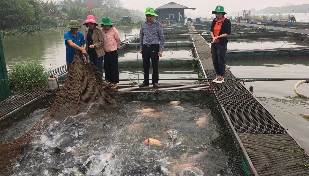 Một dòng sông nổi tiếng chảy qua Bắc Ninh, dân làm lồng nuôi cá đặc sản dày đặc, hễ bán là hết veo- Ảnh 2.