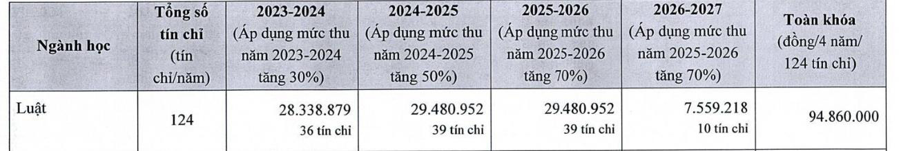 Học phí ngành luật ở TP.HCM có trường lên tới 181,5 triệu đồng/năm- Ảnh 5.