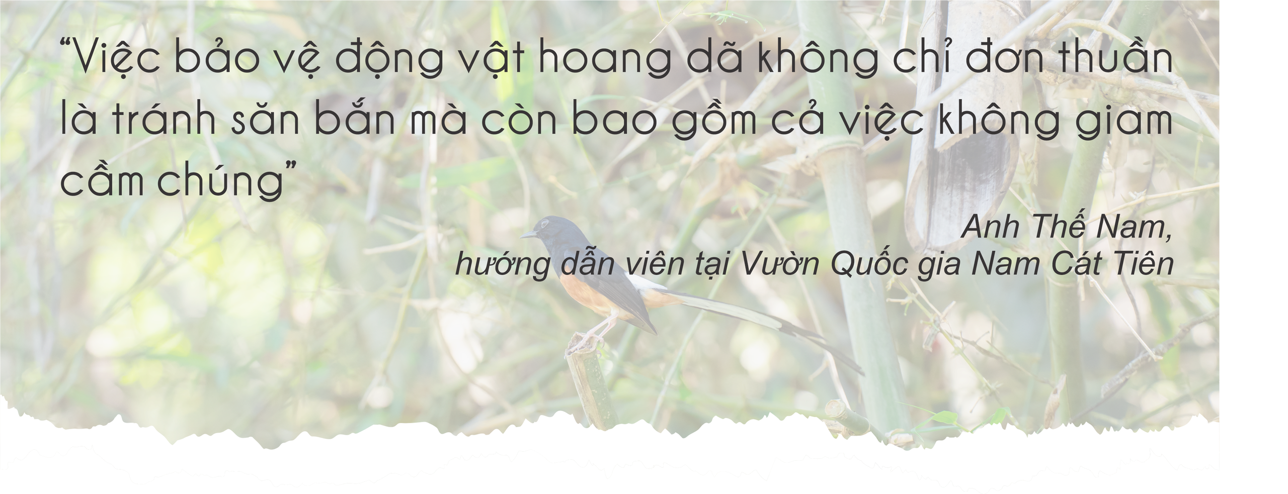 Mùa hè vào Vườn Quốc gia Nam Cát Tiên ngắm thú đêm, xem bướm- Ảnh 22.