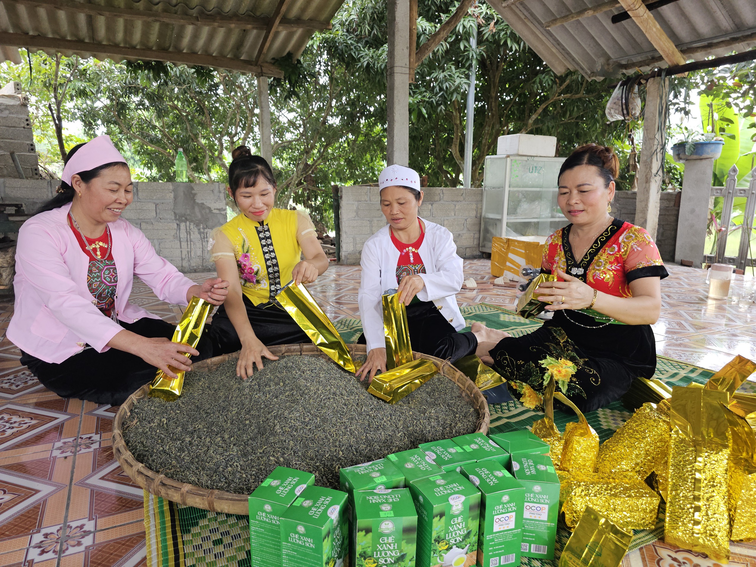 Điểm sáng từ mô hình Tổ hợp tác chè xanh- Ảnh 2.