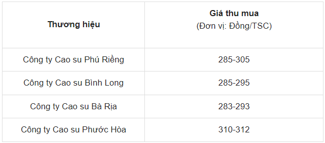 Giá cao su ngày 29/5/2024: Tăng cao nhất trong 7 năm qua