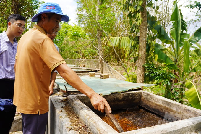 Cá tạp ủ với men vi sinh tạo thành chế phẩm IMO là nguồn phân bón hữu cơ mang lại dinh dưỡng cao cho cây trồng. Ảnh: Nguyễn Thủy.