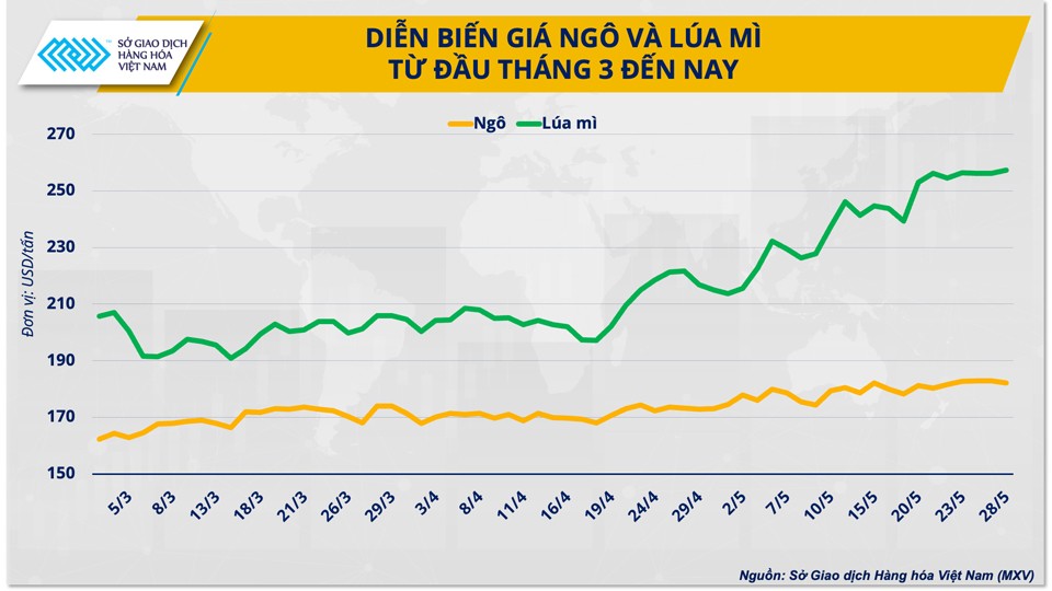 3 giải pháp cho ngành chăn nuôi vững đà tăng trưởng năm 2024