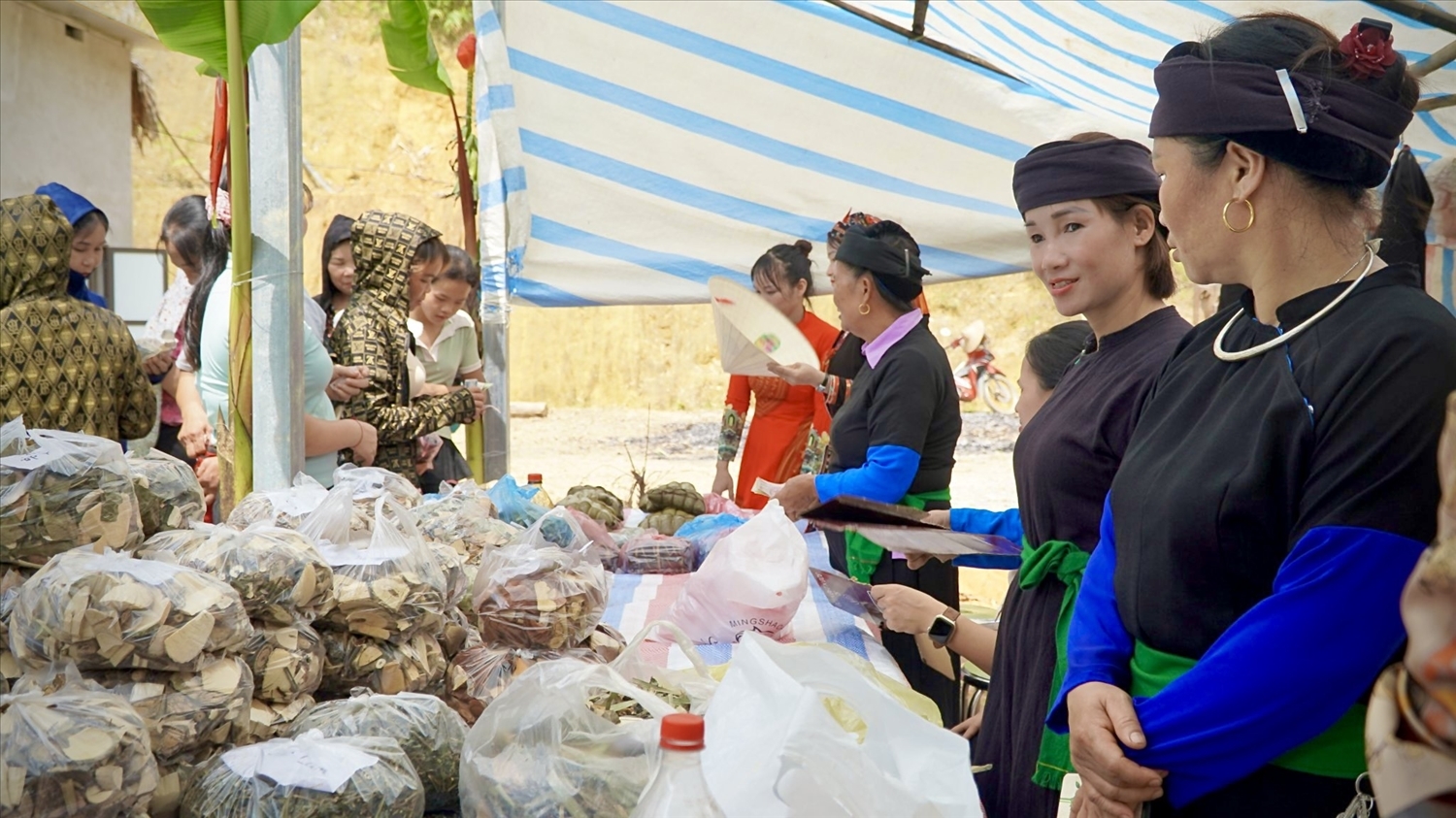 Chương trình mục tiêu quốc gia phát triển kinh tế, xã hội vùng đồng bào DTTS và miền núi giai đoạn 2021 - 2025 sẽ tạo động lực giúp phong trào thanh niên DTTS khởi nghiệp sôi nổi hơn