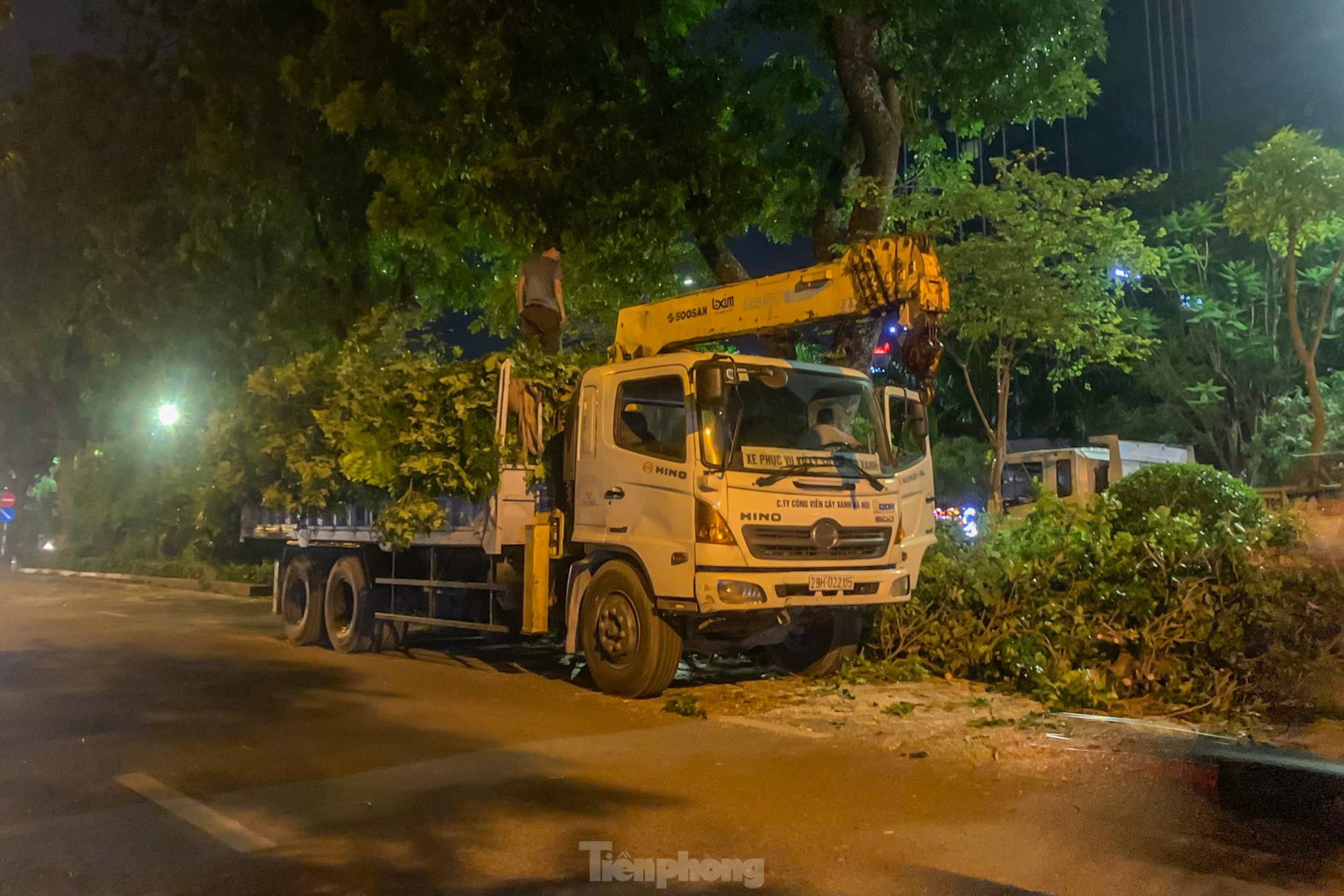 Xuyên đêm cắt tỉa hàng cây xà cừ trăm tuổi trên đường Láng ảnh 14