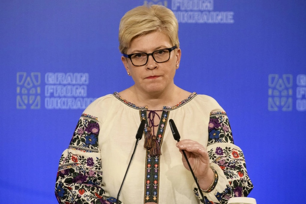 Báo Anh: Lithuania sẵn sàng đưa quân đến Ukraine - 1