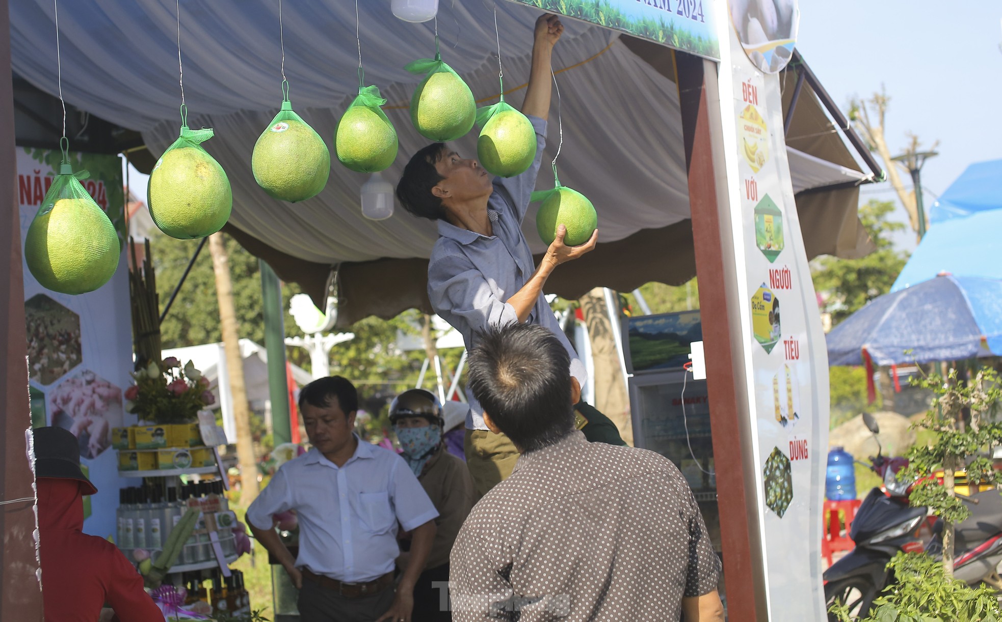 Chiêm ngưỡng trái cây, rau củ 'biến hình' ảnh 1