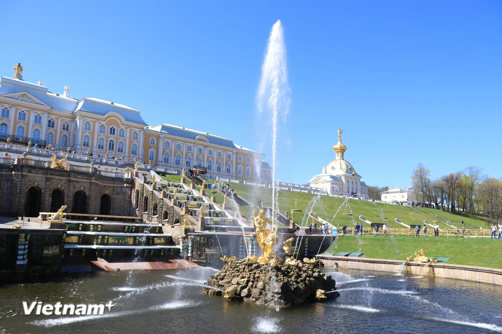 Cung điện mùa Hè (Peterhof) là quần thể kiến trúc lộng lẫy với 7 công viên, 20 lâu đài và tiền sảnh, 140 đài phun nước đặc biệt. (Ảnh: Hùng Võ/Vietnam+)