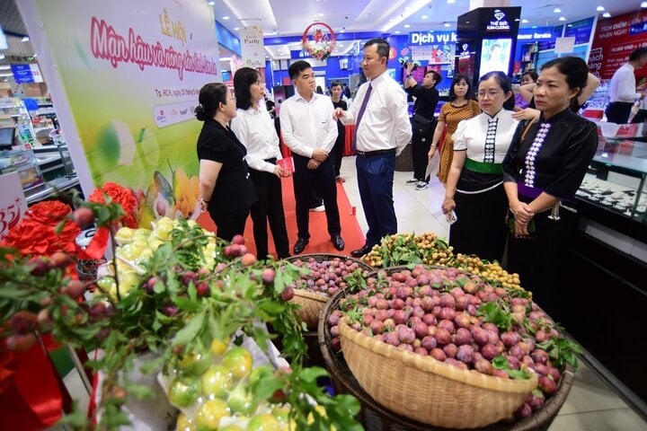 Lãnh đạo TP.HCM và Sơn La khảo sát chất lượng nông sản Sơn La.