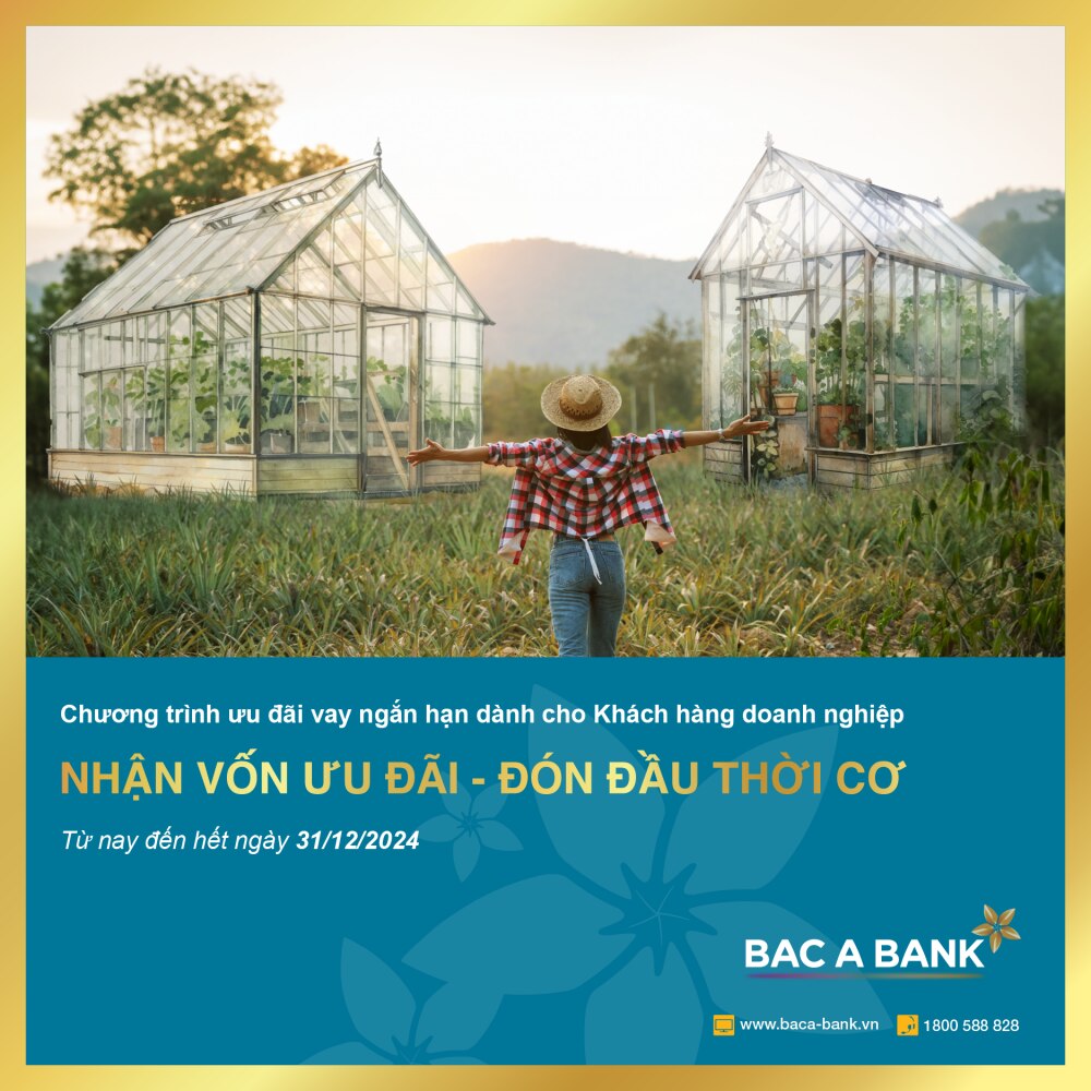 Bac A Bank ưu đãi lãi suất cho doanh nghiệp vay ngắn hạn