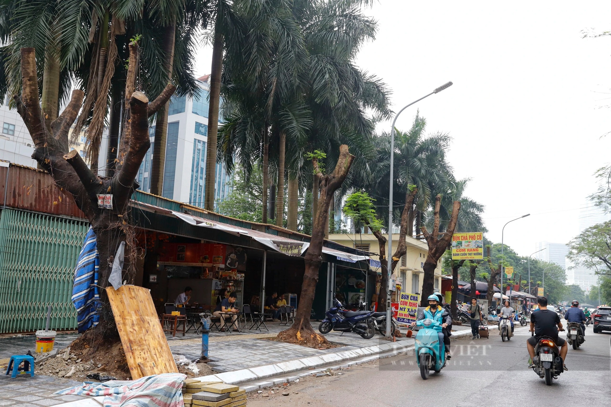 Hàng loạt cây xanh phủ bóng mát bị cắt tỉa trơ trụi giữa mùa hè tại Hà Nội- Ảnh 1.