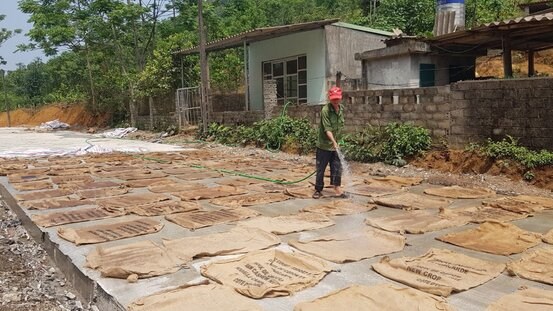 Hòa Bình: Huyện miền núi Đà Bắc thực hiện hiệu quả công tác đấu thầu nhiều dự án