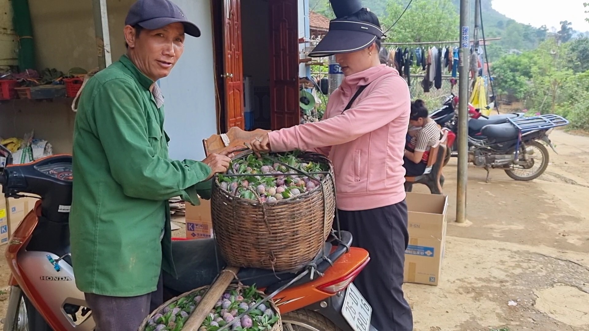 Mận hậu năm nay được giá mà sao nông dân một xã của tỉnh Sơn La vẫn không vui?- Ảnh 1.