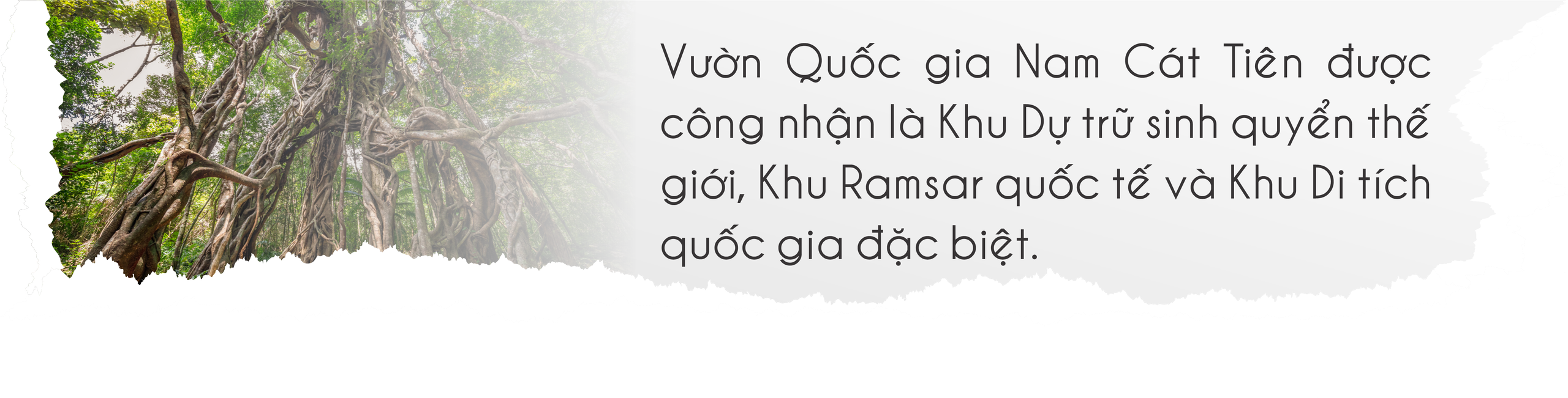 Mùa hè vào Vườn Quốc gia Nam Cát Tiên ngắm thú đêm, xem bướm- Ảnh 2.