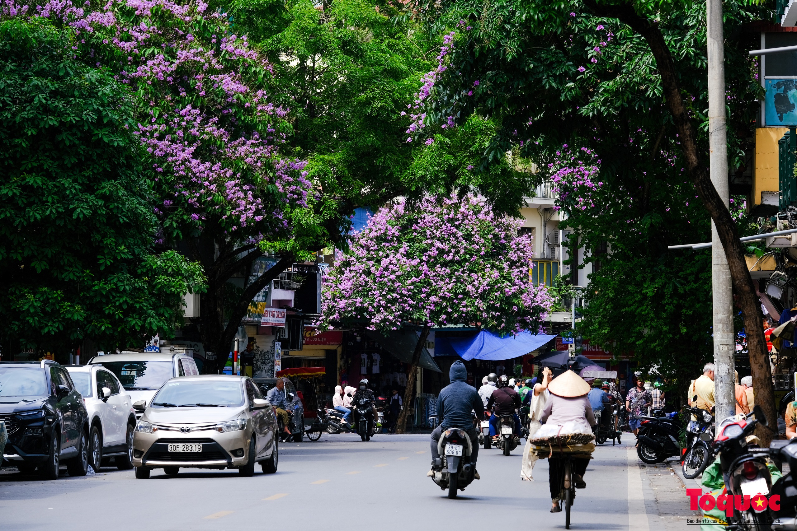 Ngắm Hà Nội lãng mạn trong mùa hoa bằng lăng tím - Ảnh 1.