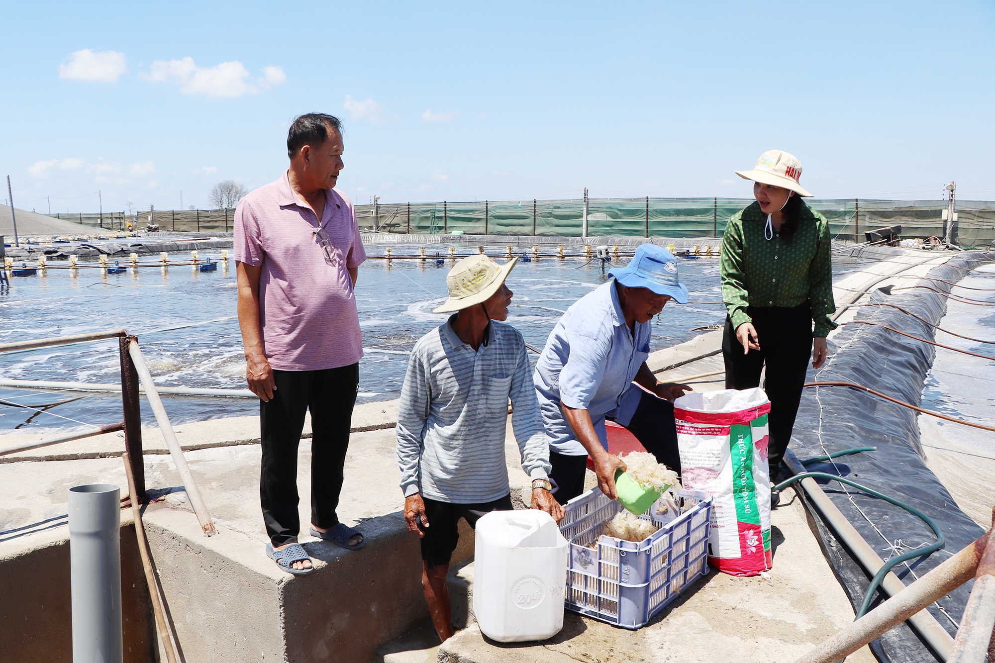 Nuôi tôm công nghệ cao kiểu gì mà cứ 3 tháng là ông nông dân Bà Rịa-Vũng Tàu lãi 1 tỷ, trả lương cao?- Ảnh 1.