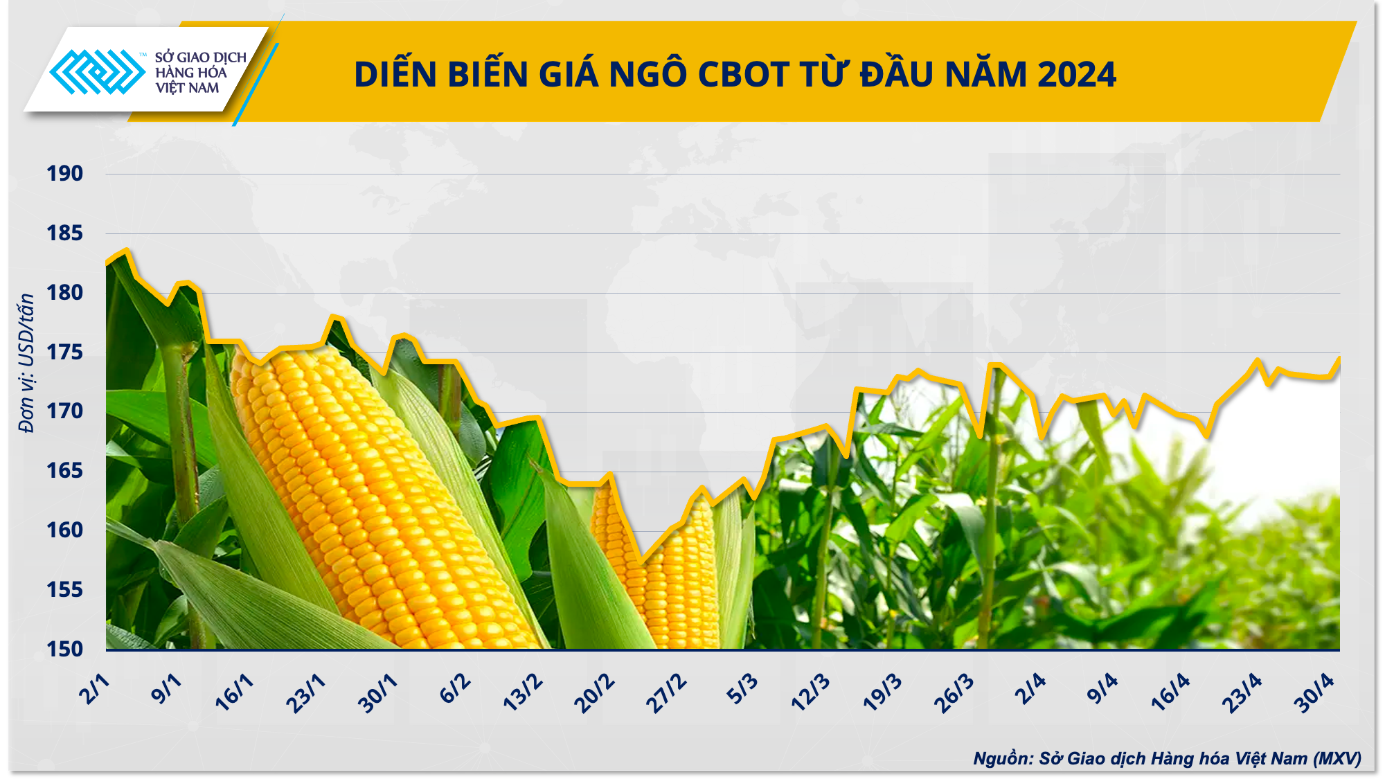 Vụ ngô của Argentina gặp nạn, “cú huých” cho giá thức ăn chăn nuôi?