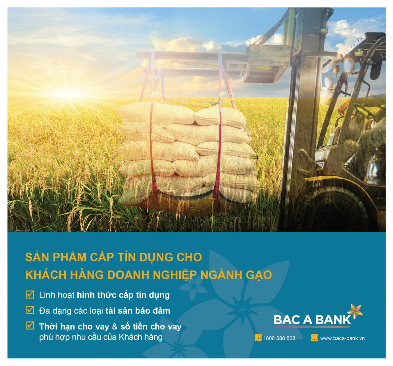 BAC A BANK tham gia festival quốc tế ngành hàng lúa gạo Việt Nam - Hậu Giang 2023