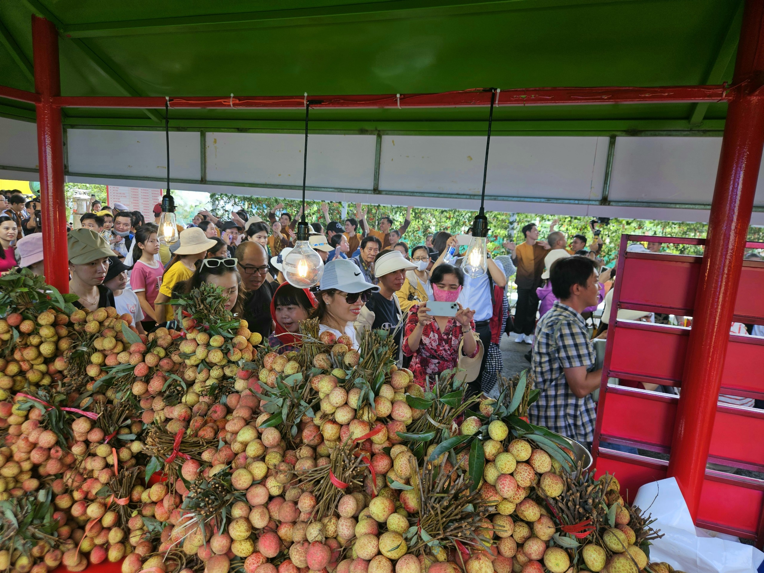 Rủ nhau đi 