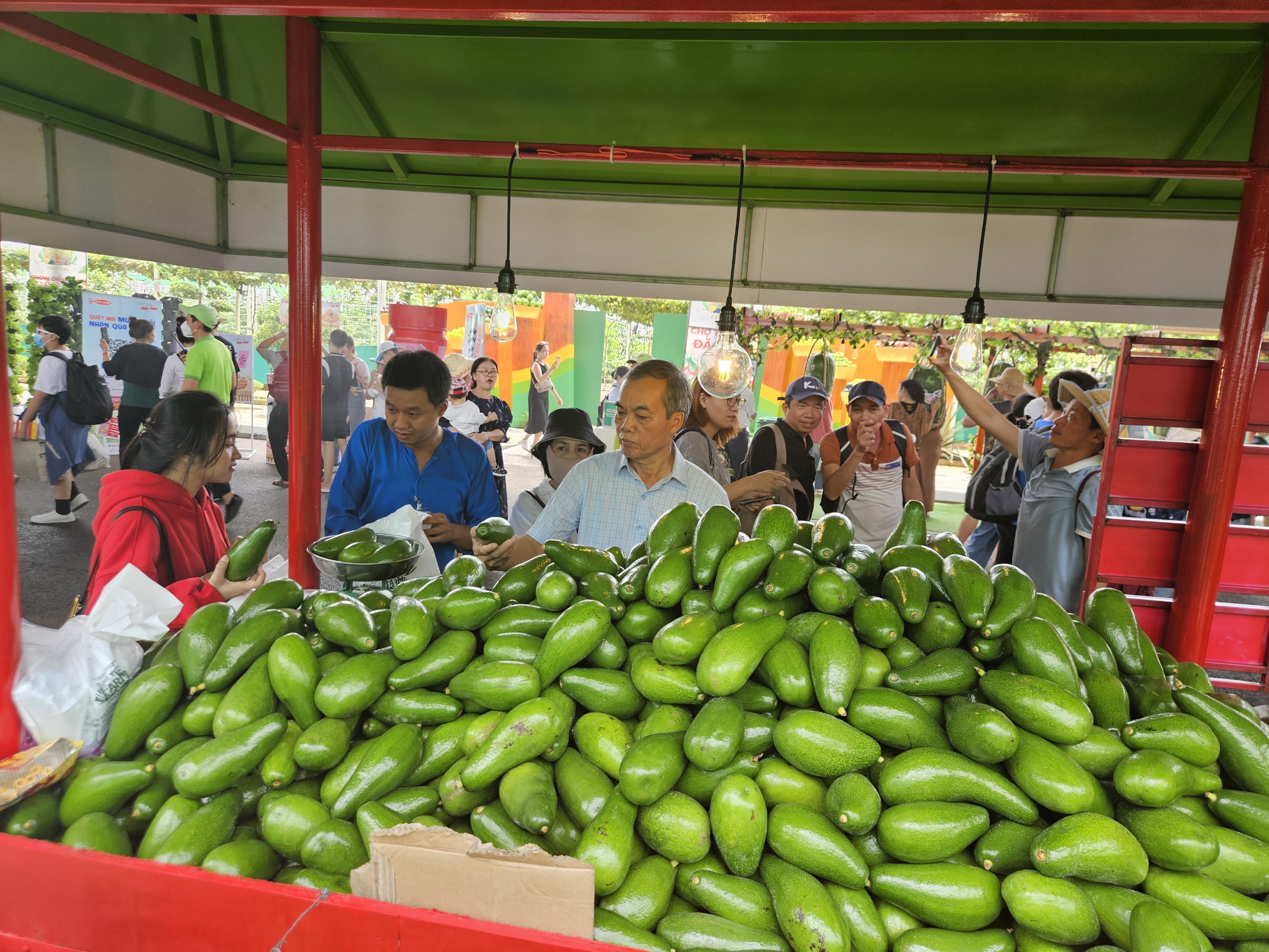 Rủ nhau đi 