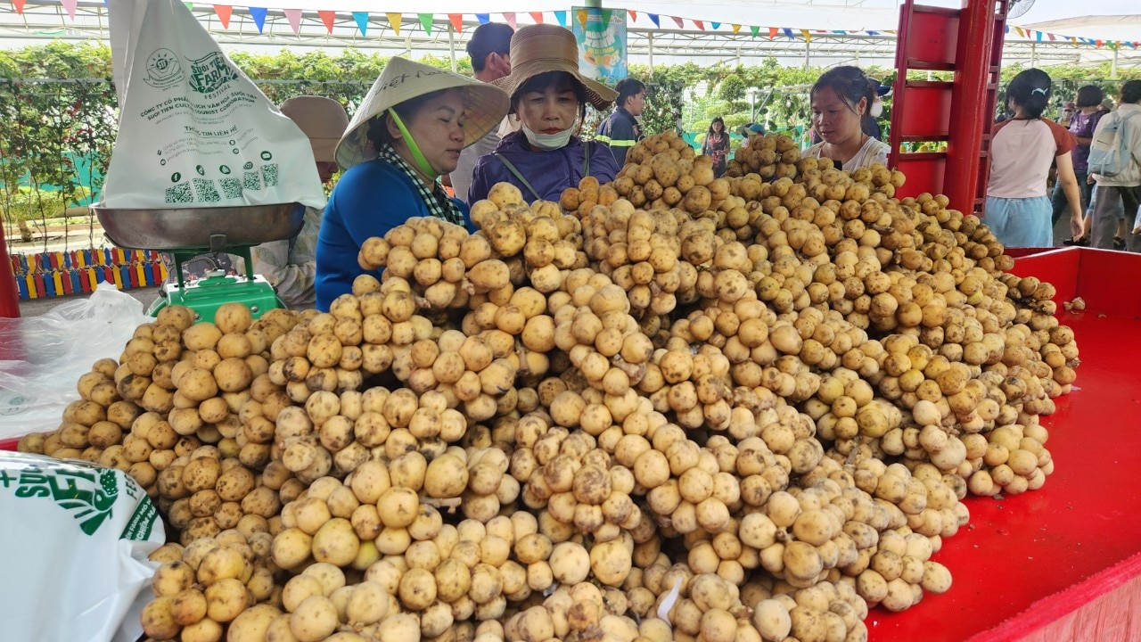 Vườn bí đao khổng lồ hút du khách tại lễ hội trái cây Nam Bộ- Ảnh 10.