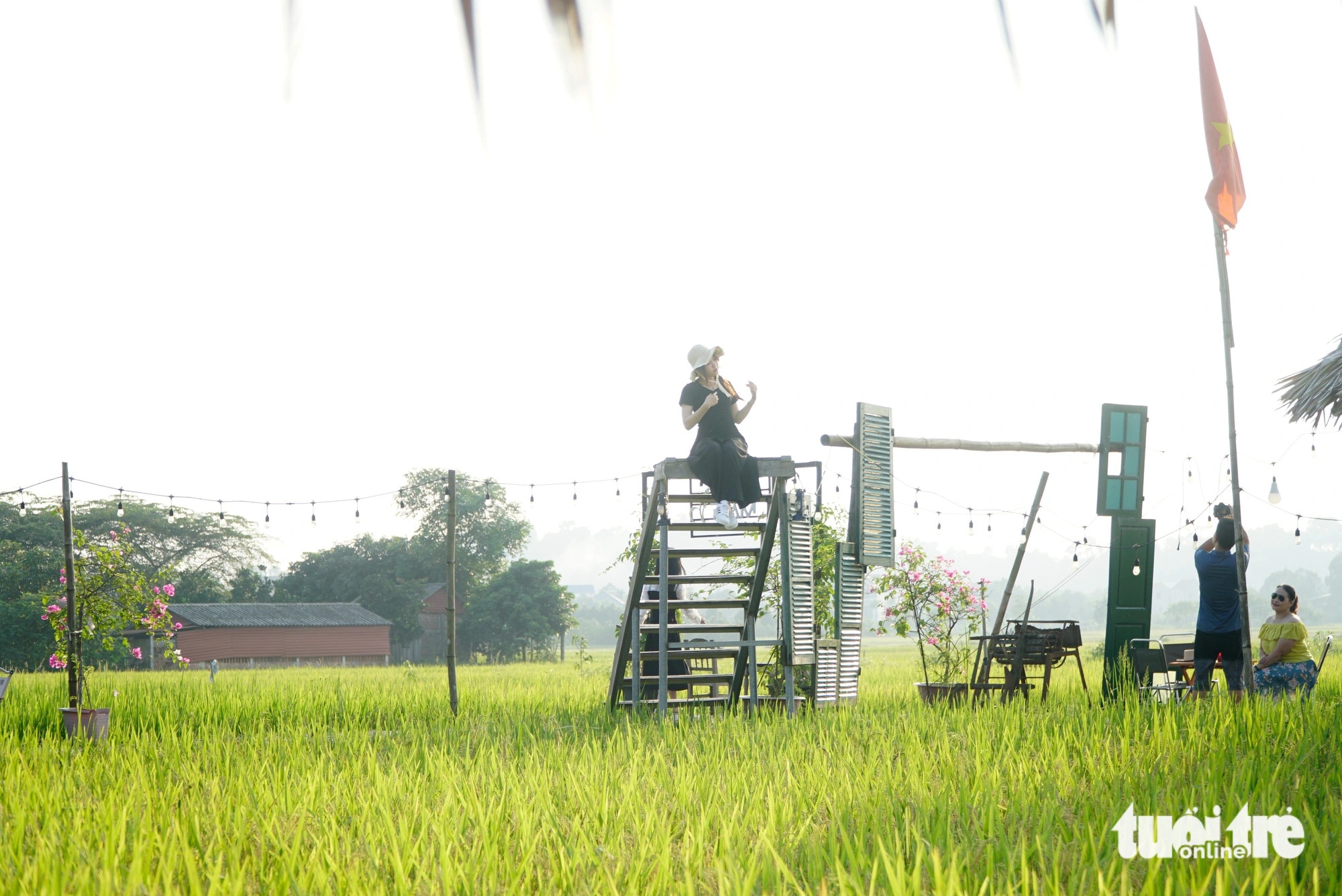 Cánh đồng lúa thơ mộng trong ánh chiều 