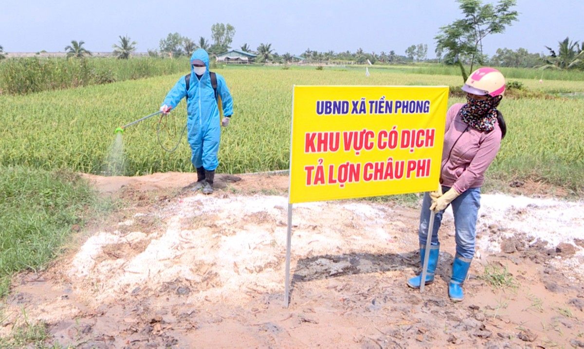 Sự kiện - Quảng Ninh: Dịch tả lợn châu Phi lây lan tại 4 địa phương (Hình 2).