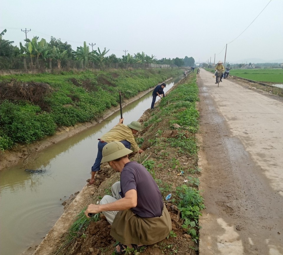 Phát huy vai trò người cao tuổi tham gia bảo vệ môi trường