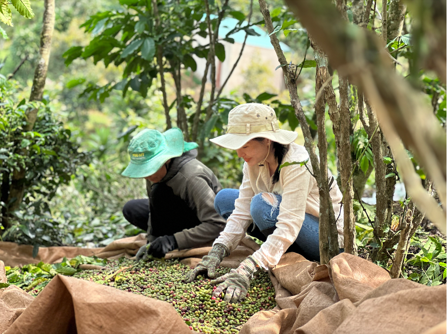 Nữ đầu bếp đam mê 'ăn thử' các món của 54 dân tộc Việt Nam- Ảnh 4.