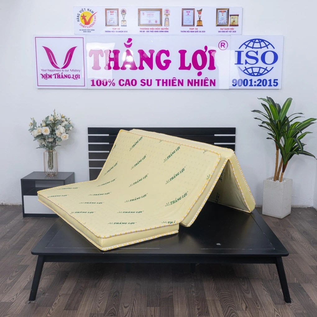 Top 3 nệm cao su non Thắng Lợi được ưa chuộng hiện nay - 2