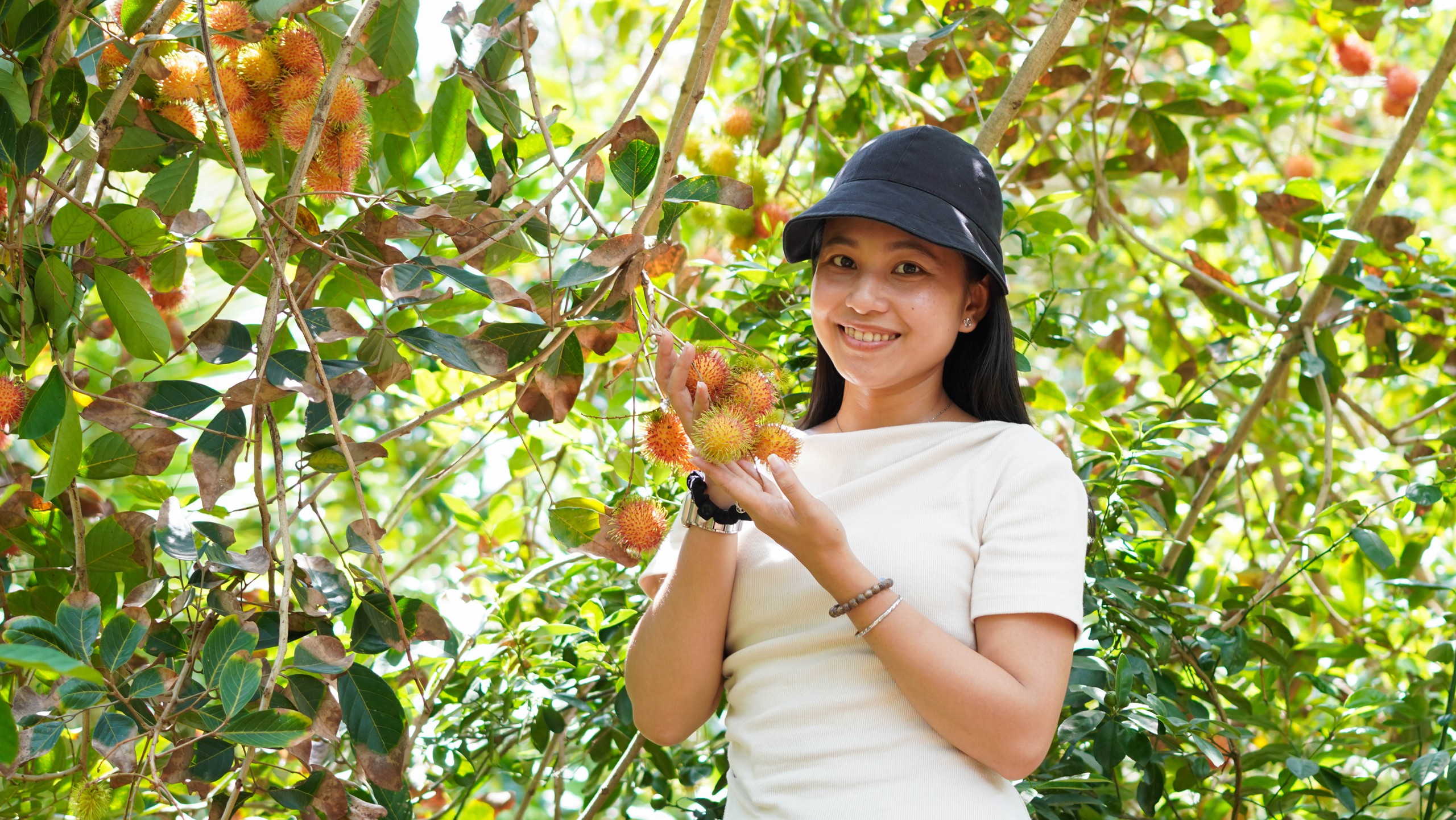 Du khách hào hứng đến xứ dừa trải nghiệm làm nem chay, hái chôm chôm- Ảnh 5.