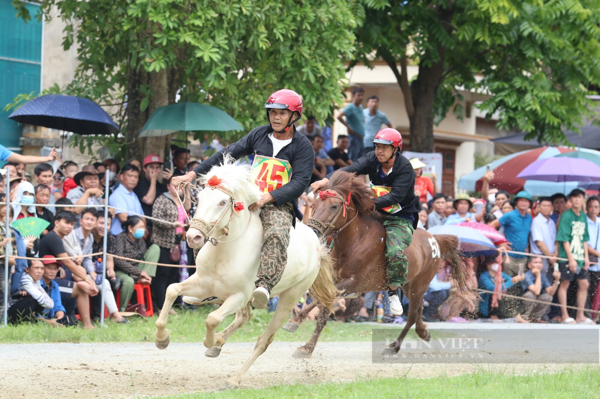 Lên Bắc Hà xem 