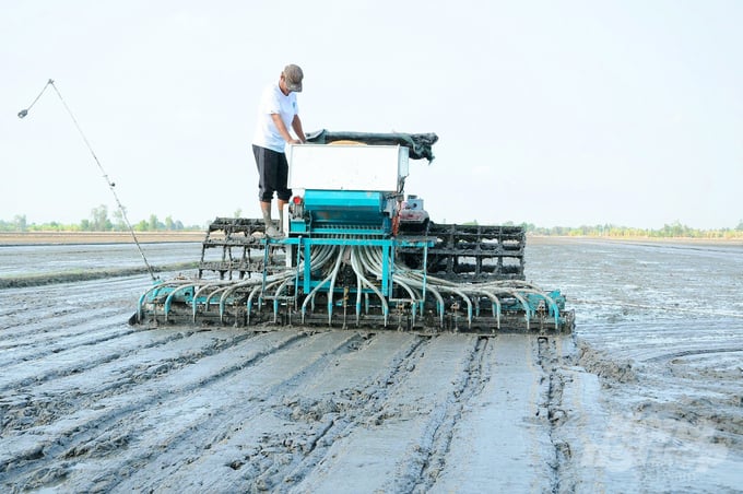 An Giang đặt mục tiêu đến năm 2025 diện tích tham gia Đề án canh tác lúa chất lượng cao, phát thải thấp là 44.051ha và tiếp tục nhân rộng ở những vùng thuận lợi. Ảnh: Lê Hoàng Vũ.