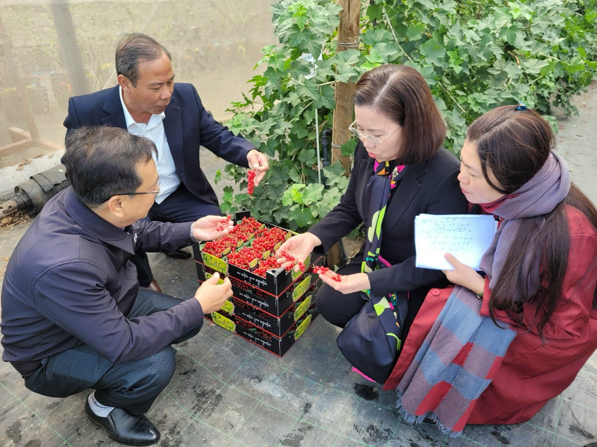 Đoàn công tác Hội Nông dân Việt Nam làm việc tại Trung tâm thực nghiệm Đại học Wageningen Hà Lan- Ảnh 3.