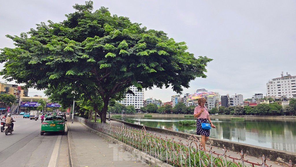 Cận cảnh khu vực quanh hồ Ngọc Khánh sẽ thành phố đi bộ mới ở Hà Nội ảnh 5