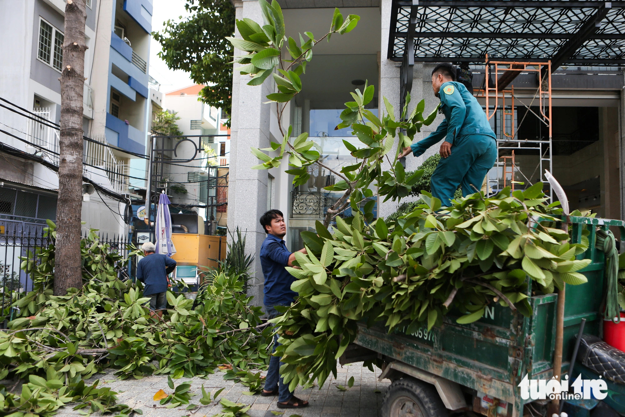 Cây xanh gần đó cũng được tỉa gọn cành để không ảnh hưởng đến mặt bằng dự án 