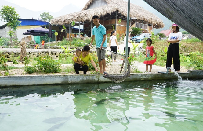 Ông Trần Ngọc Phúc, xóm Tân Sơn, xã La Bằng (Đại Từ): “Vừa nuôi cá Tầm kết hợp làm dịch vụ ăn uống phục vụ du khách đến thăm quan, gia đình tôi không phải lo đầu ra sản phẩm mà lại có thêm nguồn thu nhập, ổn định cuộc sống”.