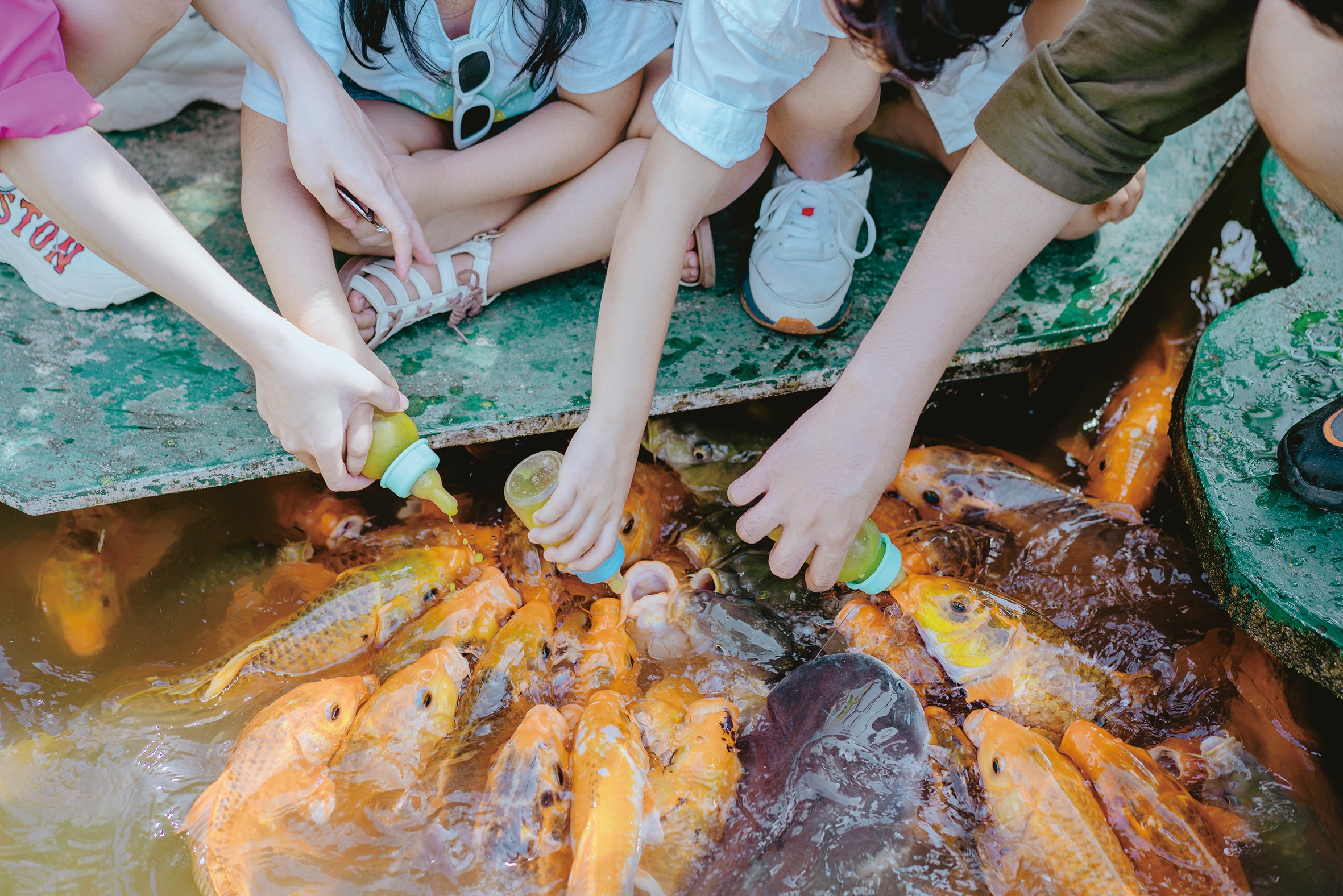 Yang Bay - Vẻ đẹp bình yên chốn đại ngàn- Ảnh 2.