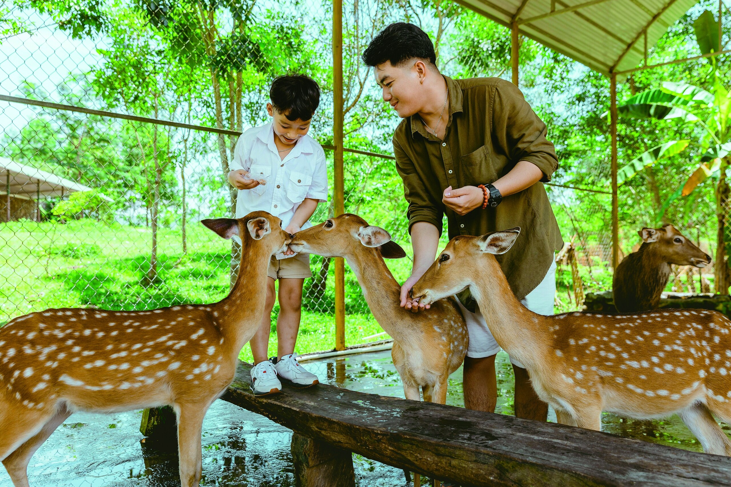 Yang Bay - Vẻ đẹp bình yên chốn đại ngàn- Ảnh 3.