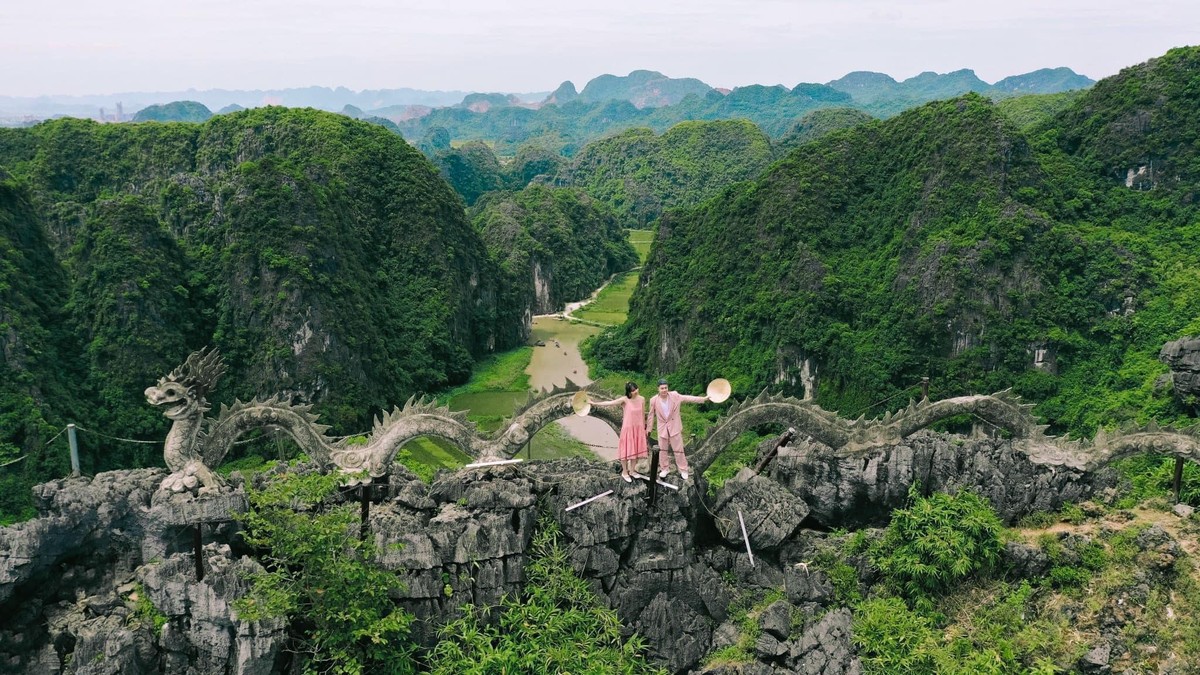 ve hang mua ngam van ly truong thanh mua sen no va dong lua chin hinh 2