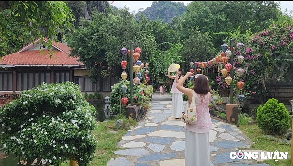 ve hang mua ngam van ly truong thanh mua sen no va dong lua chin hinh 6