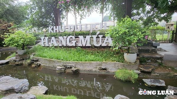 ve hang mua ngam van ly truong thanh mua sen no va dong lua chin hinh 8