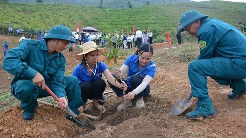 Các lực lượng huyện Tuần Giáo trong ngày hội ra quân trồng cây mắc ca hồi tháng 5/2024